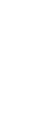 villa-nai-logo